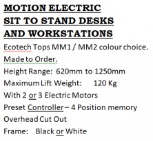 Motion Electric Sit And Stand